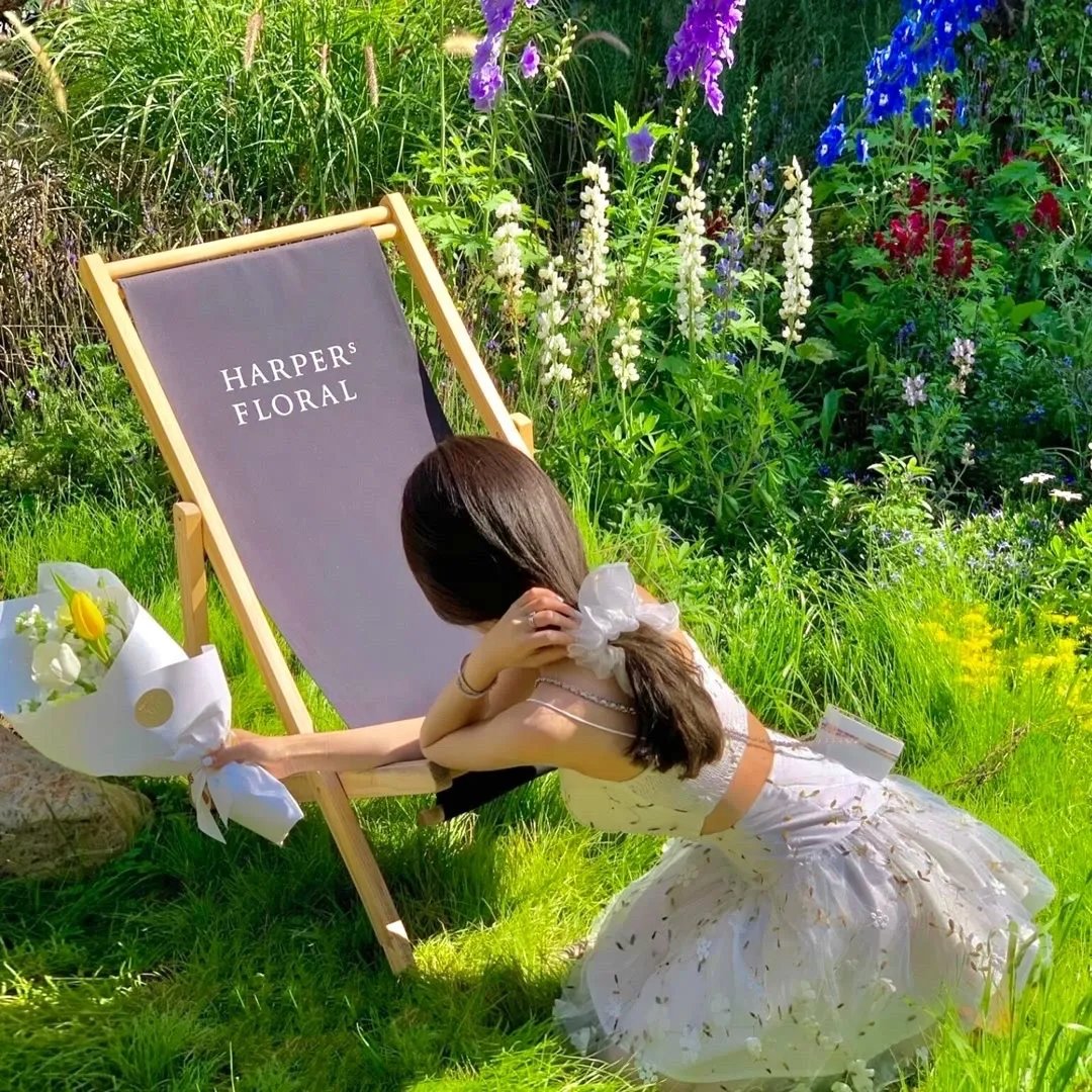 山中有些小精灵